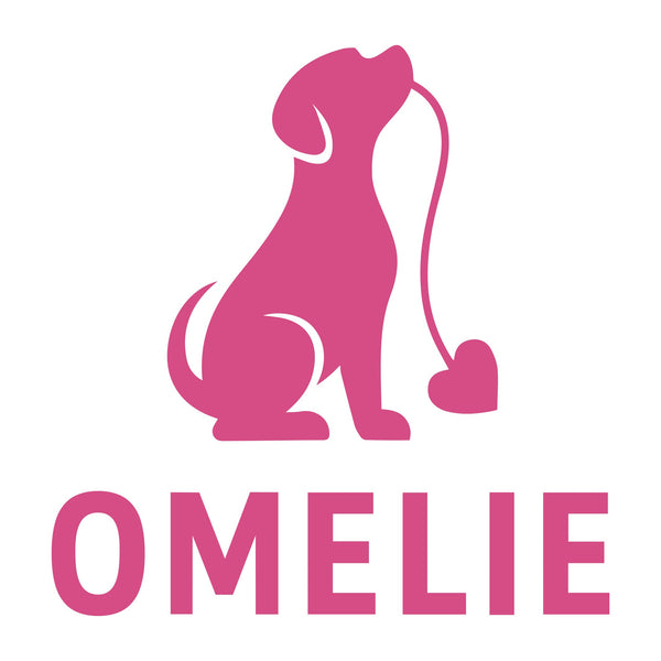 Omelie